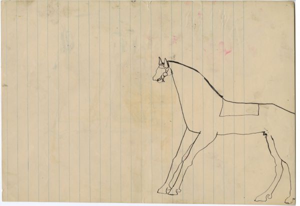 Untitled [horse]