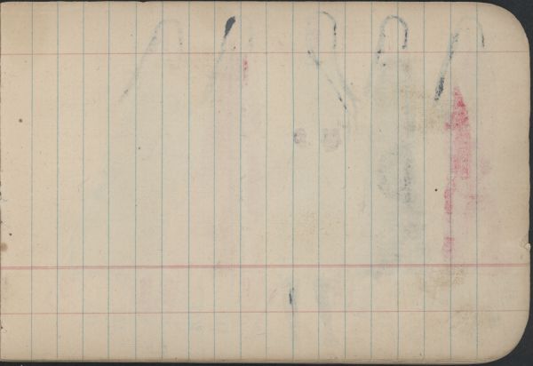 BIRDS: Female Turkey with Twelve Poults; Blank Page