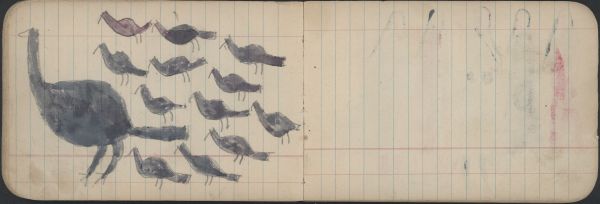 BIRDS: Female Turkey with Twelve Poults; Blank Page