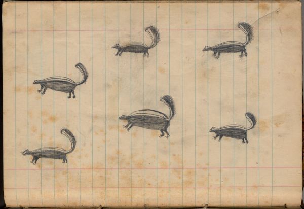 Family of Six, Striped Skunks