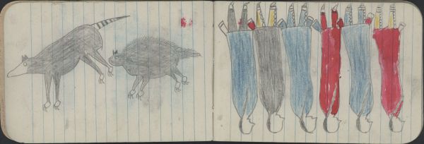 ANIMALS, 2 OPOSSUMS; GROUP, SIX WOMEN: Women Wear 3 Blue, 2 Red, 1 Gray Blankets