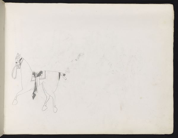 Alternate Plate Image